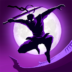 Shadow Knight Premium Stickman